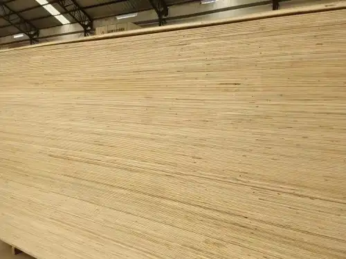 Ordinary Birch Plywood: A Cost-Effective Solution for Export Markets
